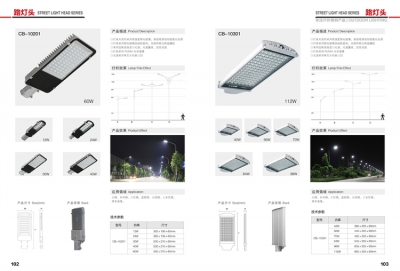 泸水CB-10201市电路灯